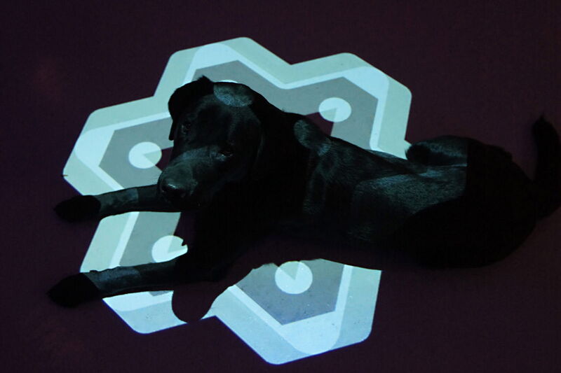 Boris Frentzel-Beyme / "Gliese 581d - Habitable Zones" Exhibition at Frappant Gallery, Hamburg / Days of Delay